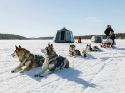 Luxury Off-Grid Dream Hoteles en Ljusdal Municipality