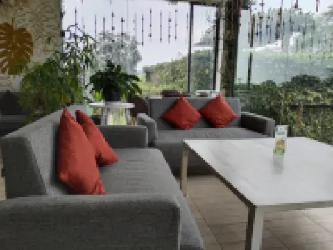 Tea Garden Resort