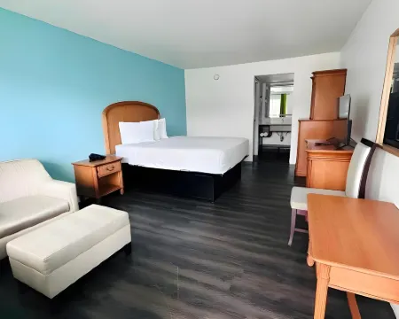 Rodeway Inn Clearwater - Central Hotels in Clearwater