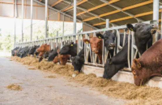 時尚農舍度假屋