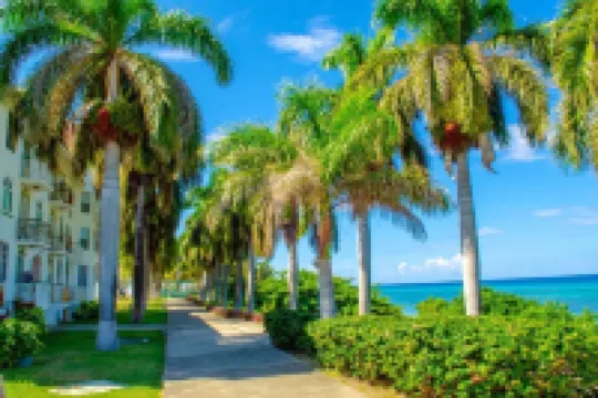 Boho-Chic Loft with Sea Views in Montego Bay