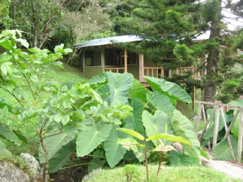 One Bedroom Cabin On Two Hundred Acres in costa rica Hotels in 