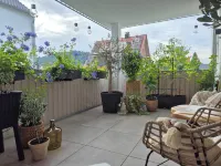 High-quality furnished apartment, central and quiet near Lake Constance Hotel di Rielasingen-Worblingen