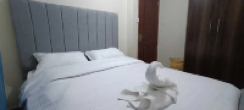 Waridi Homes a fully-furnished cozy 1 bedroom- Free spacious Parking!