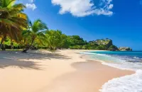 A personalized & Spacious Hilltop Orchard Villa- 5 min to the city.