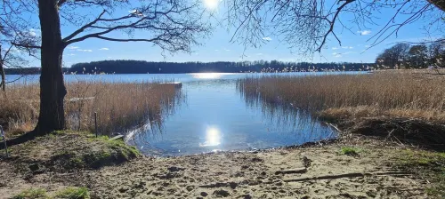 Vacation home "Im Wäldchen" near the lake for couples and families with pets