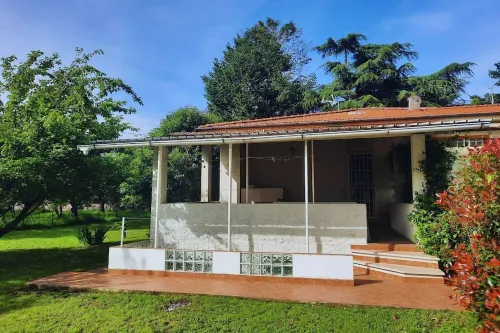 Olive Grove Garden House With Mountain View Close to Forte dei Marmi