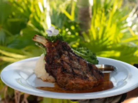 Flamboyan on the Bay Resort and Villas Hotels in Northside