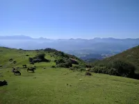 Doña Leonor's Quintana, Hotels in Arriondas