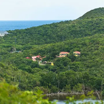 Lameshur Cottage's Guest House
