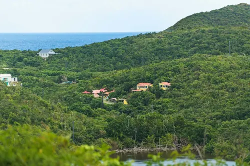 Lameshur Cottage's Guest House