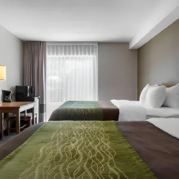 Comfort Inn Dartmouth Hotels near Fairview Lawn Cemetery