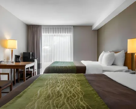 Comfort Inn Dartmouth Hotels in Dartmouth