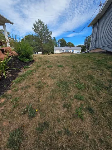 East Royalty Modern lower level apartment.