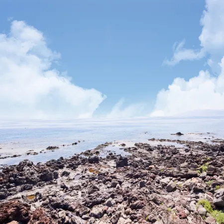 Apartment in Cala Gonone by Dolce Acqua Cliff