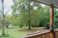 Shangri-La in Etowah:  a serene + cheerful cottage near Pisgah & DuPont Forests Hotels in Etowah