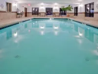 智選假日套房酒店埃克斯莫爾- 東海岸 北安普敦縣酒店