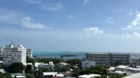 ザパディリー ツリー ホテル - 絶景