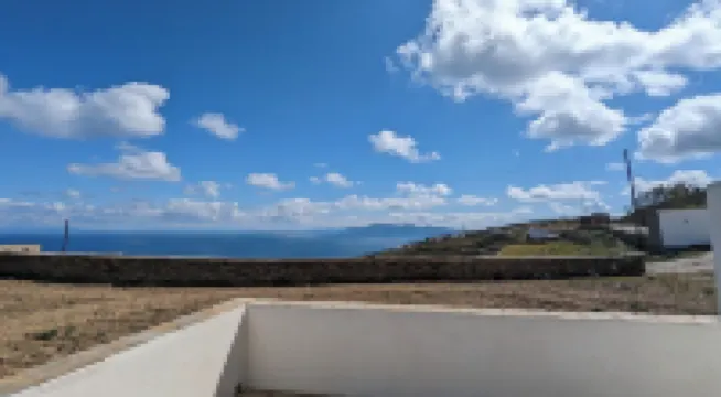 Under The Palm Tree Boutique Studios - Homestays