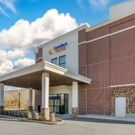 Comfort Suites Central Valley
