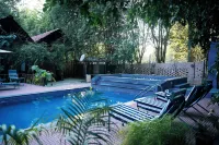 Wilderness camp Resort Pench - Pools