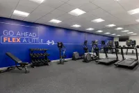 Holiday Inn Express & Suites Westfield - Indianapolis by IHG - Gym