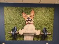 Best Western North I-25 Hotel - Gym