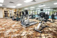 Lodge of the Ozarks - gimnasio