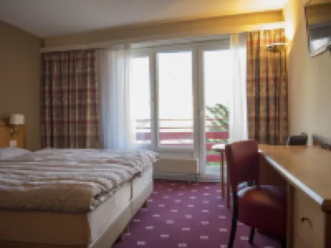 Alpine Classic Hotel Hotels in Leysin