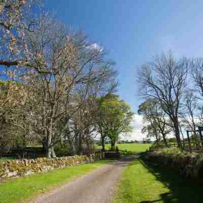 Ayrshire Cottage at The Dairy at Daviot Others
