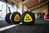 Barsebäck Resort Hotell - Fitnessstudio
