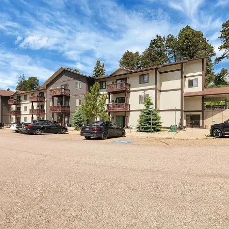 Black Hills Bliss: Fully Remodeled Modern Condo