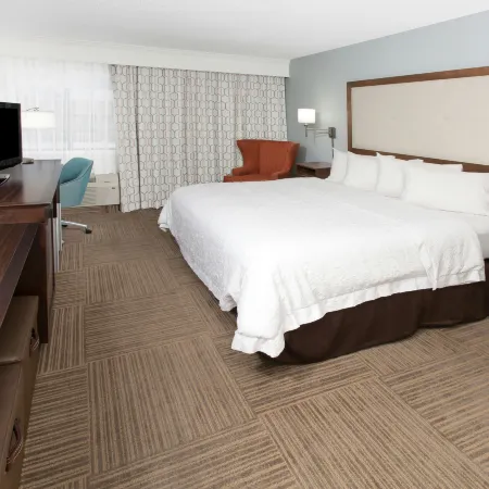Hampton Inn Birch Run/Frankenmuth