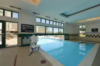 Hampton Inn & Suites Pueblo-Southgate - spa