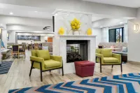 Hampton Inn Detroit/Auburn Hills-North (Great Lakes Crossing Area) - Kæledyr tilladt