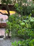 La Casa Del Sol Villa - Villas