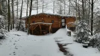 Unusual, secluded log cabin in the Vosges with luxury spa - Hytter