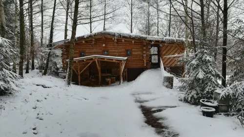 Unusual, secluded log cabin in the Vosges with luxury spa - Chalets