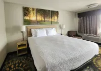 Days Inn by Wyndham Monroe La - 2-Star