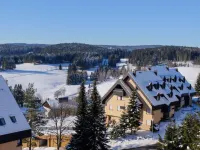 Schwarzwaldblick Hotels in Schonach