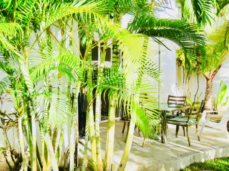 Executive Basic Room with Swimming Pool Air Conditioning and Parking