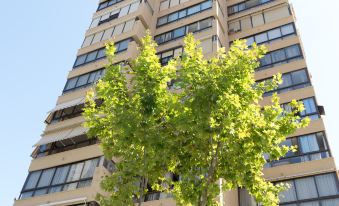 Gemelos 4 - Beninter All Inclusive