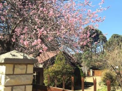 Clarens Log Cabin