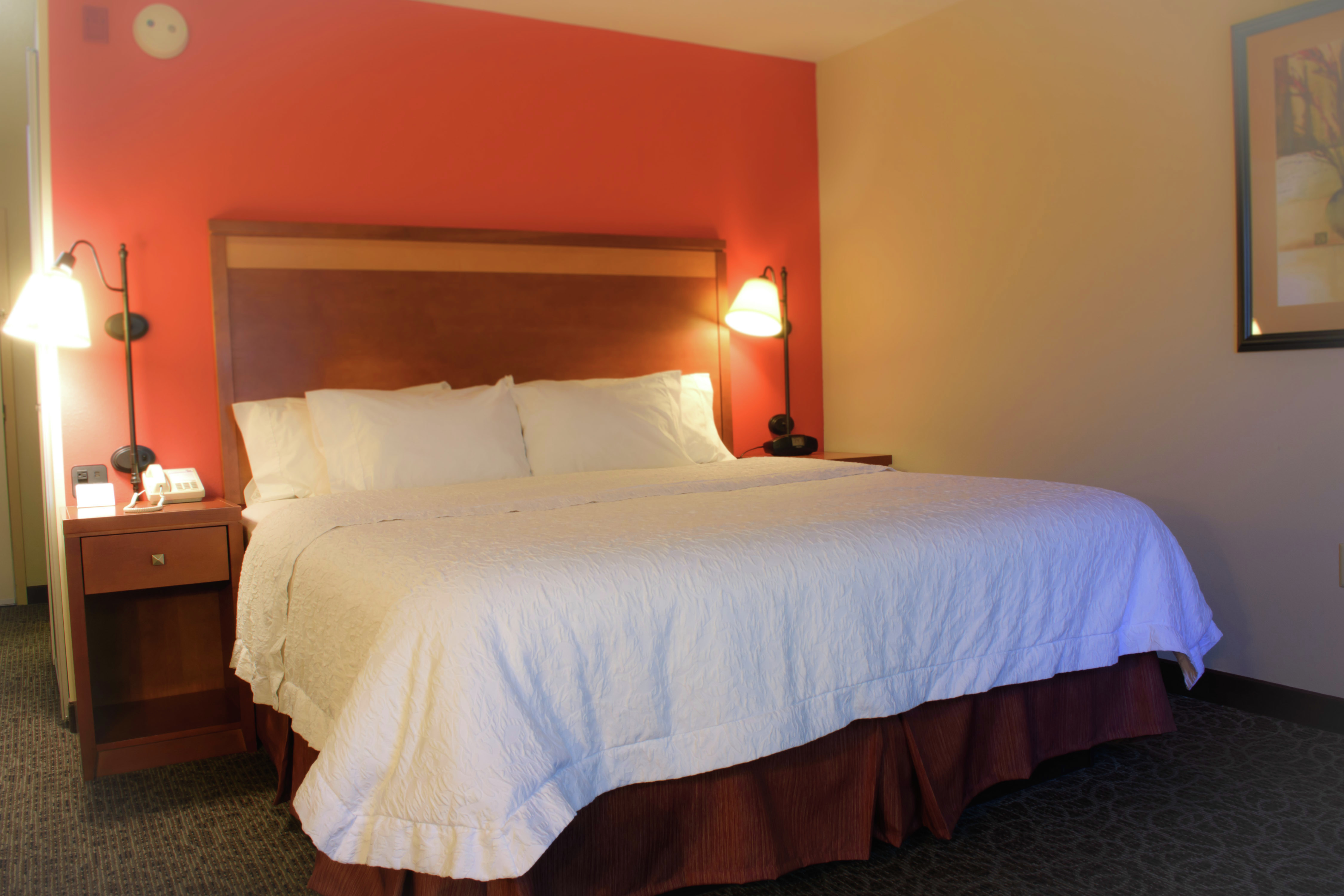 Hampton Inn Montgomery-South-Airport