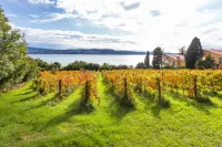House in the Vineyards Ankaran - Happy Rentals - 3-stjärniga
