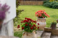 The House Olympia - Happy Rentals Hotels in Olympia