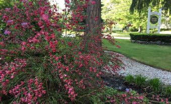 a lush green garden with pink flowers , trees , and a path leading to a building at PineCrest Inn