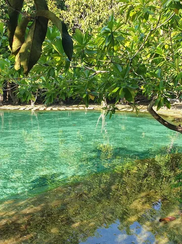 รูปภาพของวนิลาวิว รีสอร์ท