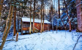 a log cabin nestled in a snowy forest , surrounded by trees and covered in snow at Opossum Creek Retreat