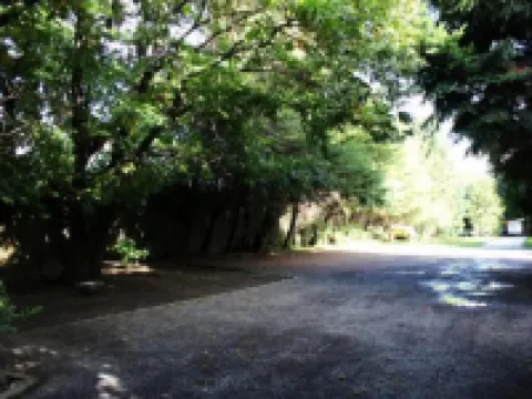 Hotel Malalhue Hoteles en Pucón